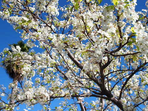 f0121591_34147.jpg