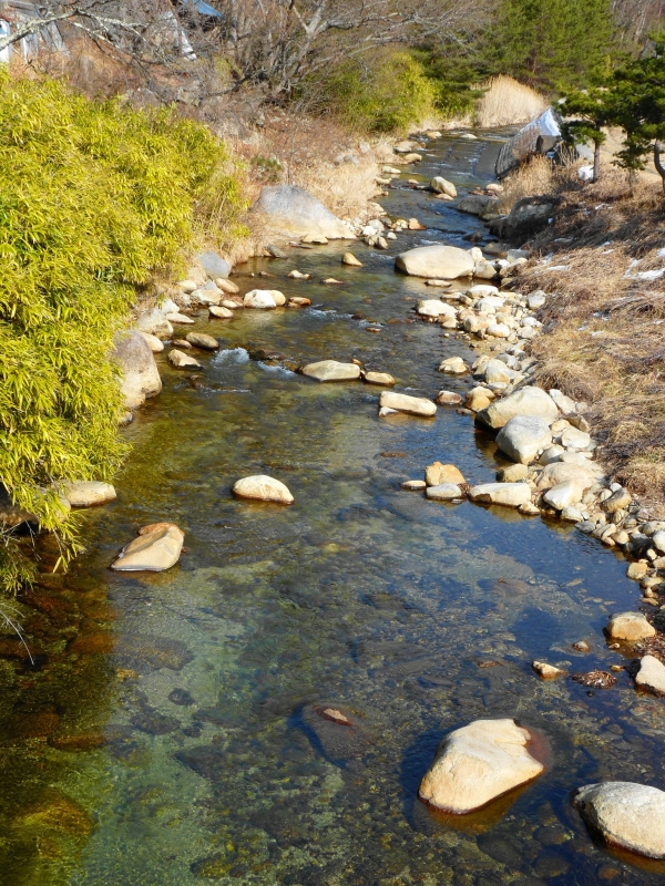 e0202393_21425487.jpg