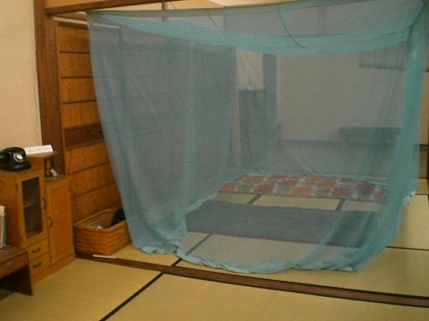 a0252596_21493269.jpg