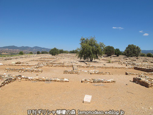 c0010496_833561.jpg