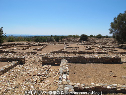 c0010496_8345065.jpg