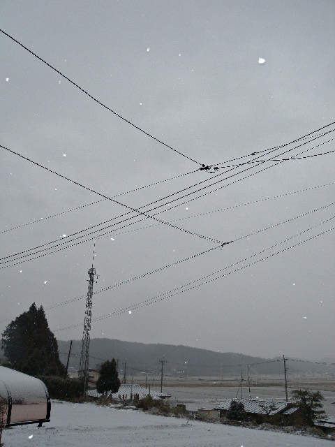 a0199297_19281089.jpg