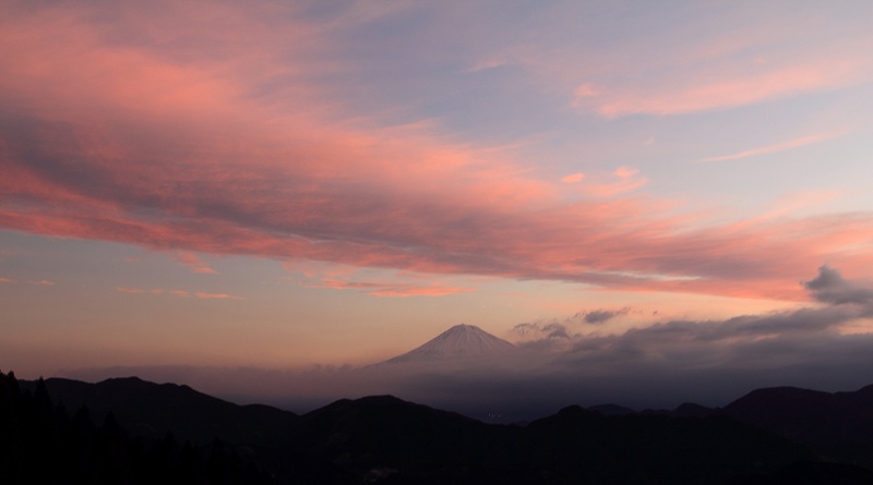 a0188405_1019848.jpg
