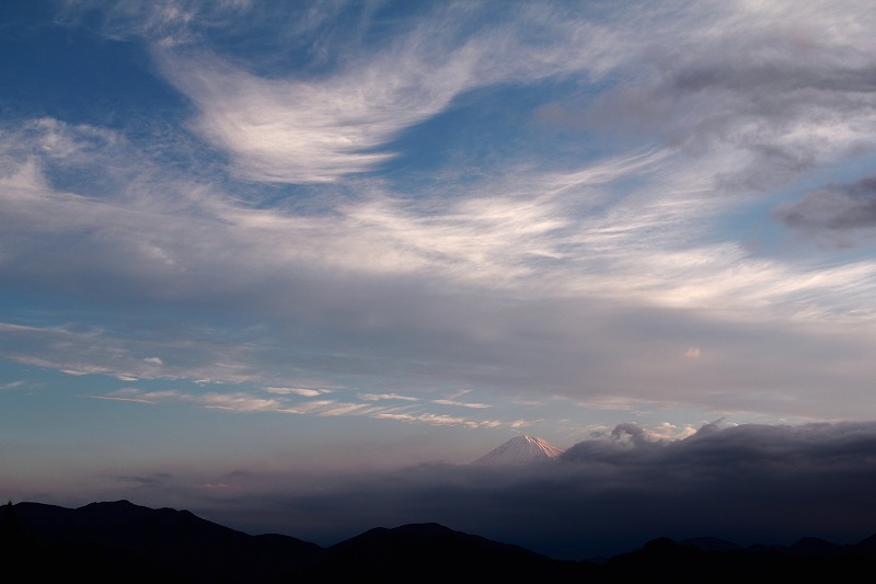 a0188405_10203116.jpg