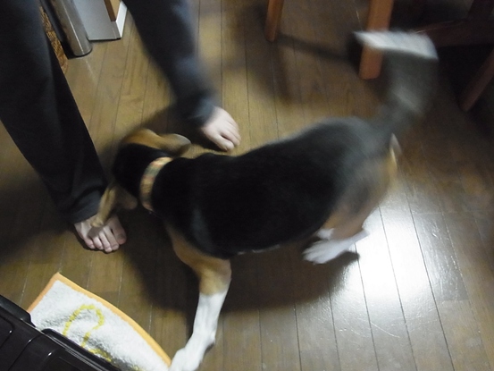 c0205806_223945100.jpg