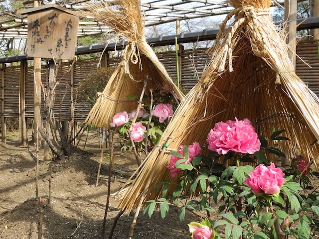 c0248013_2134179.jpg