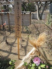 c0248013_21342482.jpg