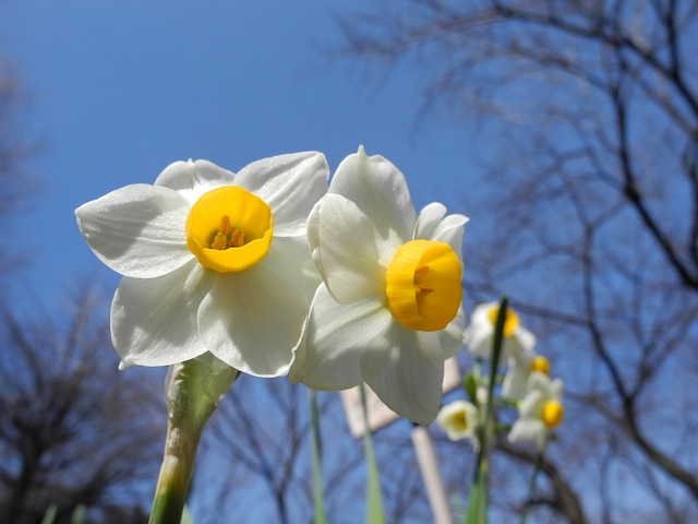 c0248013_2241025.jpg