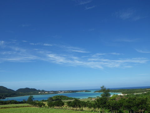 e0294721_15105274.jpg
