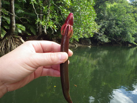 e0294721_1803261.jpg