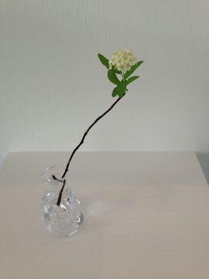 f0045630_1017757.jpg
