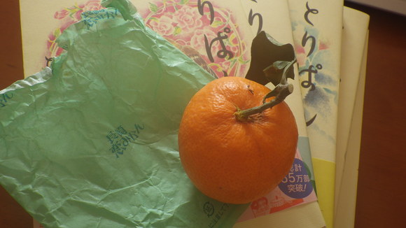 f0118332_16433271.jpg