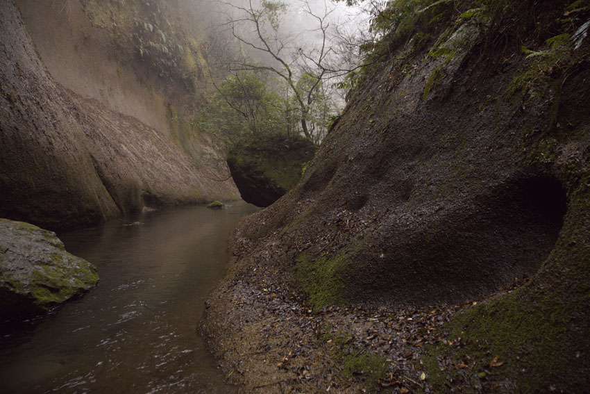 b0287335_223654100.jpg
