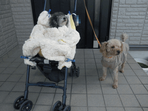 c0136736_19121954.gif