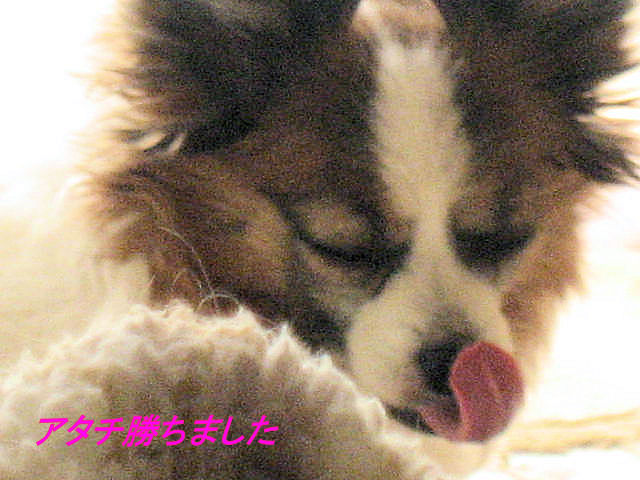 a0149240_14305240.jpg