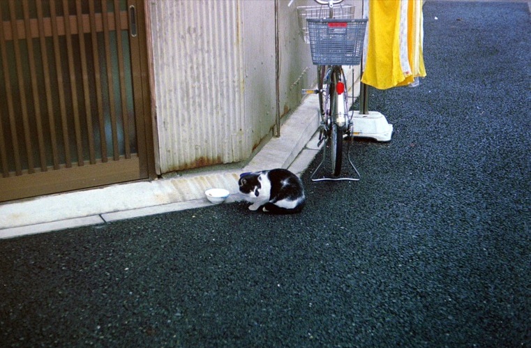 d0089742_0315371.jpg