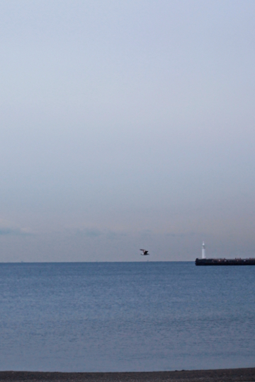 d0008146_2093059.jpg