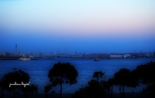 e0268051_1545754.jpg