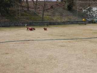 f0204072_845919.jpg