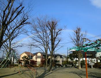 e0023790_22182375.jpg