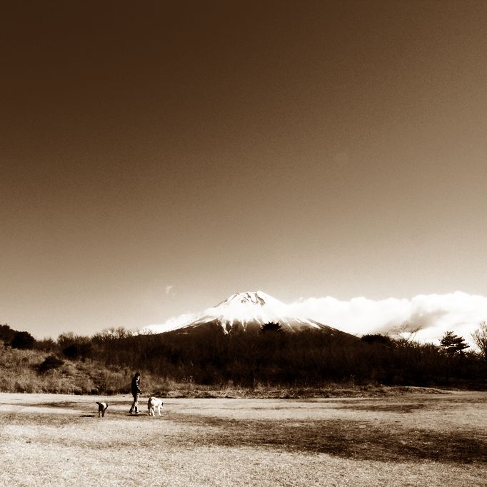 a0093592_0484247.jpg