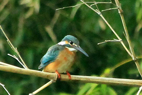 b0014607_19334630.jpg