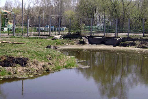 a0151913_2040490.jpg