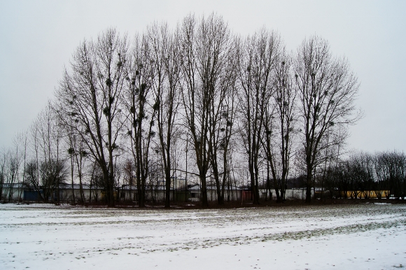 d0241813_1326149.jpg