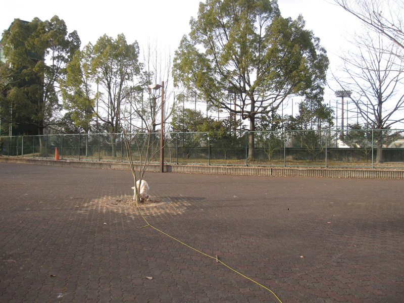 e0244621_21201316.jpg
