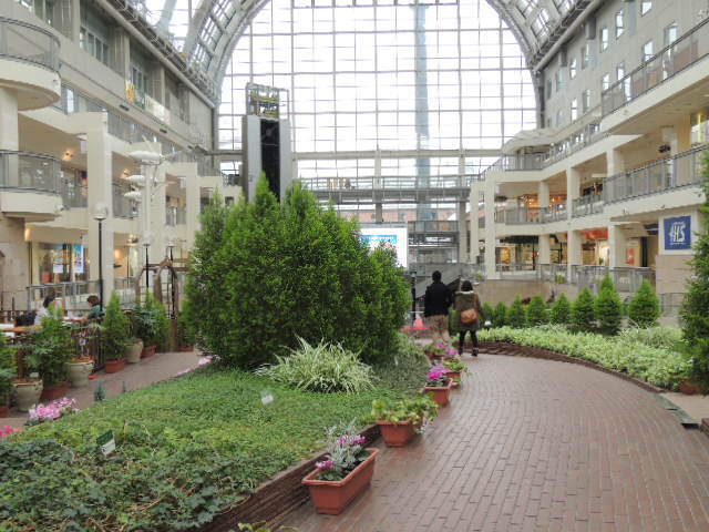 b0185330_21372764.jpg