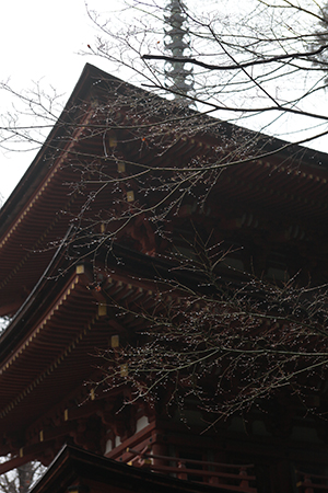 a0097735_21474397.jpg
