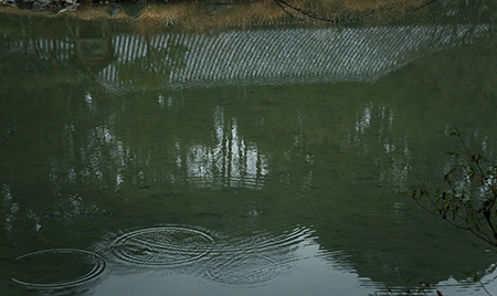 a0097735_2147498.jpg