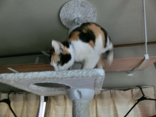 c0194042_20361137.jpg