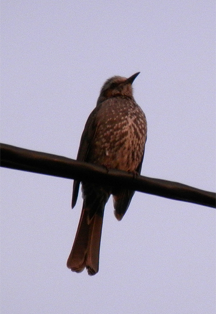 f0214649_1412725.jpg