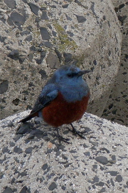 f0214649_1431712.jpg