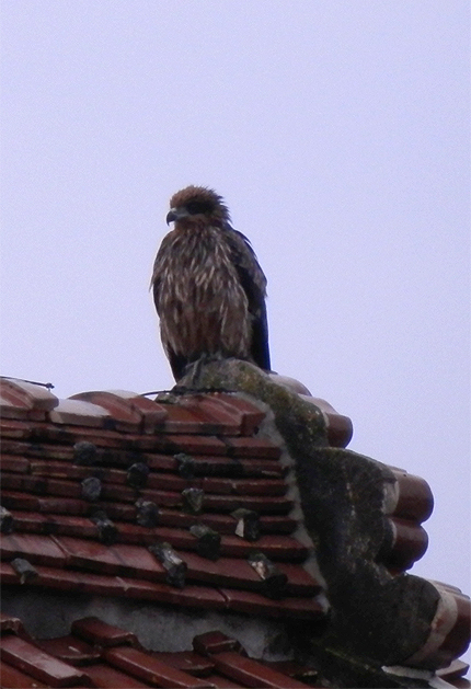 f0214649_1484314.jpg
