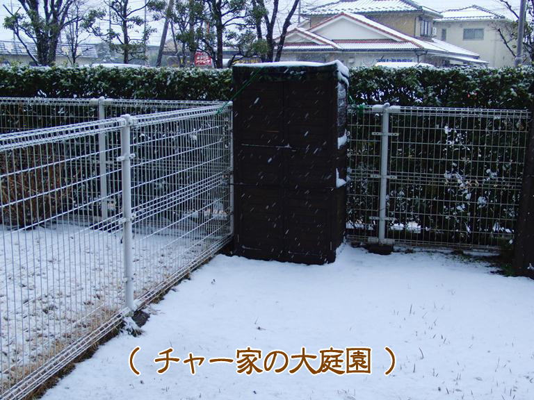 b0279153_19113519.jpg