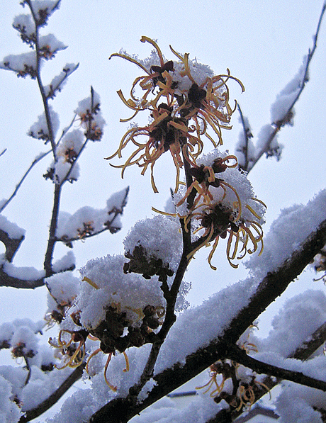 a0001354_22194319.gif