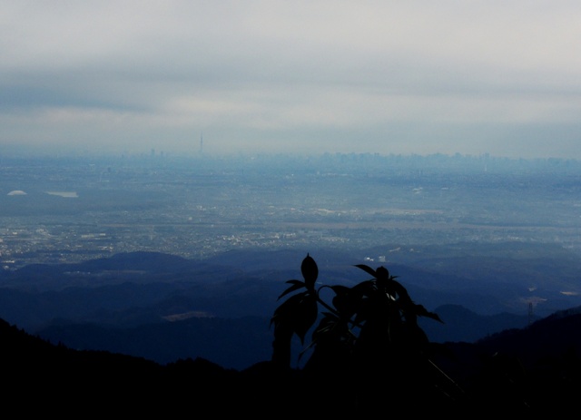 b0173754_1112428.jpg
