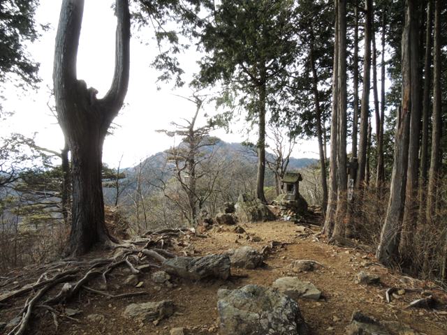 b0173754_11151726.jpg