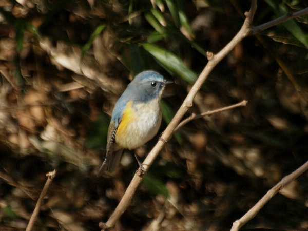f0208666_11342040.jpg