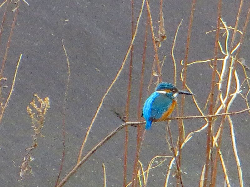 b0167370_8562485.jpg