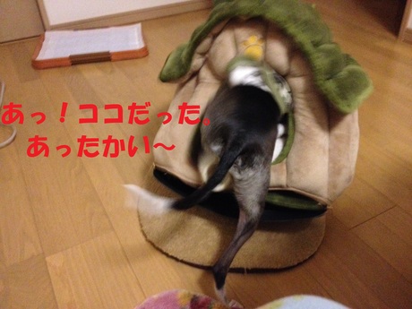 f0223972_826319.jpg