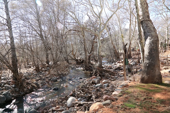 e0148185_10263436.jpg