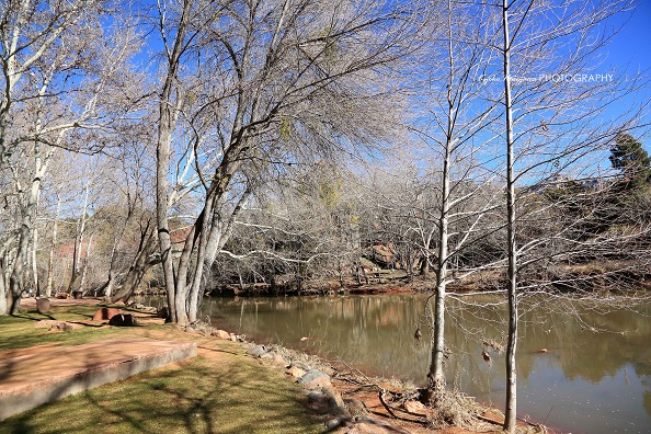 e0148185_10274795.jpg