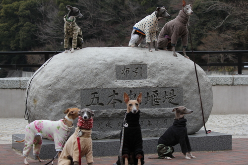 a0234491_22255548.jpg