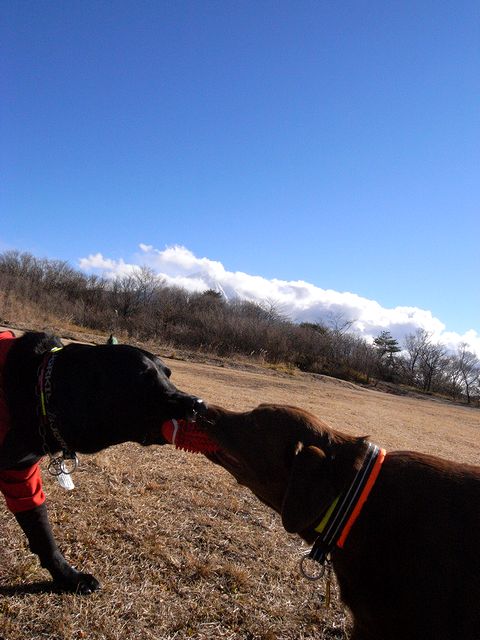 a0093592_1281689.jpg