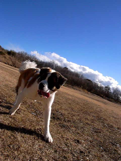 a0093592_13978.jpg