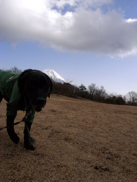 a0093592_17052.jpg