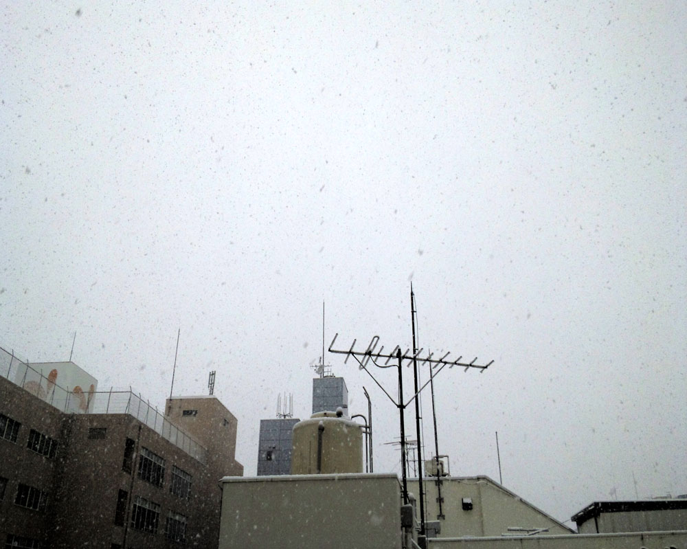 e0216492_2474139.jpg